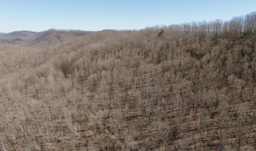 Photo #48 of 1297 Dry Creek Road, Blackwater, VA 50.5 acres