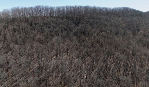 Photo #49 of 1297 Dry Creek Road, Blackwater, VA 50.5 acres