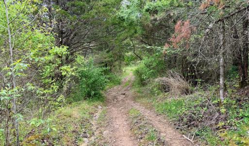 Photo #62 of 1297 Dry Creek Road, Blackwater, VA 50.5 acres
