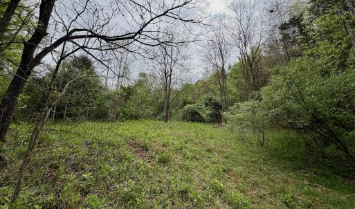 Photo #65 of 1297 Dry Creek Road, Blackwater, VA 50.5 acres