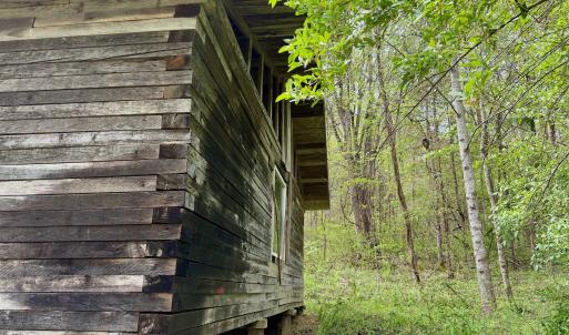 Photo #69 of 1297 Dry Creek Road, Blackwater, VA 50.5 acres
