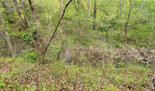 Photo #73 of 1297 Dry Creek Road, Blackwater, VA 50.5 acres