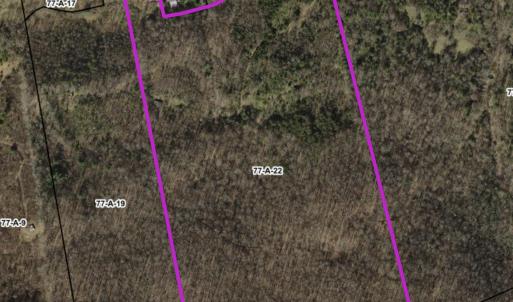 Photo #76 of 1297 Dry Creek Road, Blackwater, VA 50.5 acres
