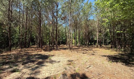 Photo #10 of Lots 6 & 7 Fox Run Drive, Pikeville, NC 2.0 acres