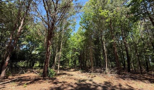 Photo #27 of Lots 6 & 7 Fox Run Drive, Pikeville, NC 2.0 acres