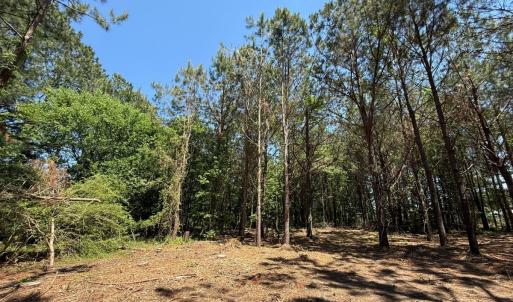 Photo #29 of Lots 6 & 7 Fox Run Drive, Pikeville, NC 2.0 acres