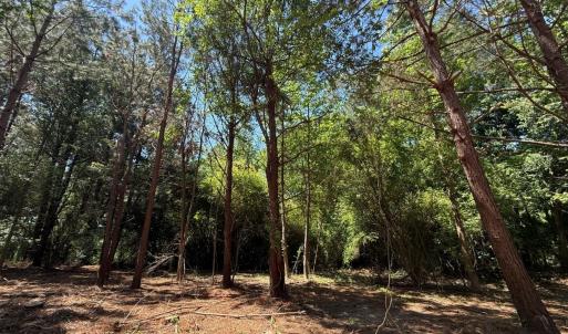 Photo #30 of Lots 6 & 7 Fox Run Drive, Pikeville, NC 2.0 acres