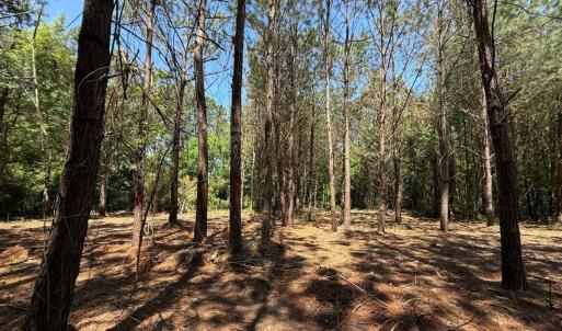 Photo #31 of Lots 6 & 7 Fox Run Drive, Pikeville, NC 2.0 acres