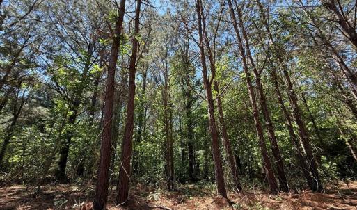 Photo #32 of Lots 6 & 7 Fox Run Drive, Pikeville, NC 2.0 acres