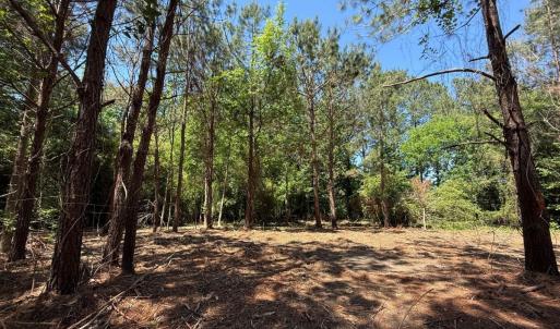 Photo #6 of Lots 6 & 7 Fox Run Drive, Pikeville, NC 2.0 acres