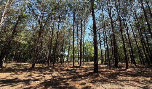 Photo #7 of Lots 6 & 7 Fox Run Drive, Pikeville, NC 2.0 acres
