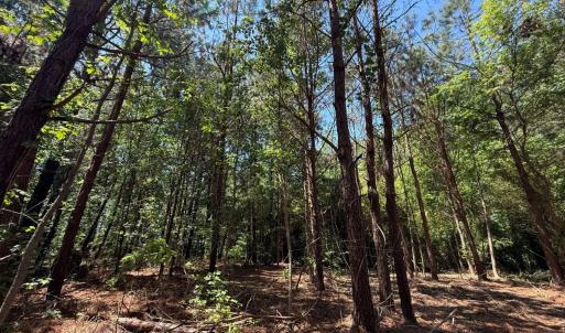 Photo #8 of Lots 6 & 7 Fox Run Drive, Pikeville, NC 2.0 acres