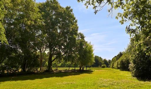 Photo #1 of Off of Old Chinquapin Rd., Beulaville, NC 1.0 acres