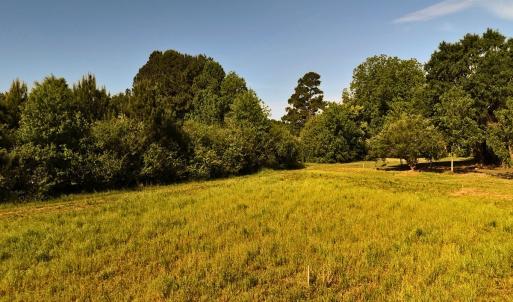 Photo #13 of Off of Old Chinquapin Rd., Beulaville, NC 1.0 acres