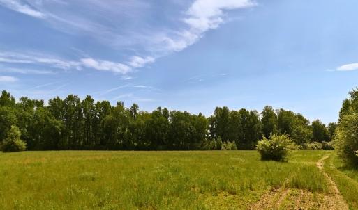 Photo #17 of Off of Old Chinquapin Rd., Beulaville, NC 11.3 acres