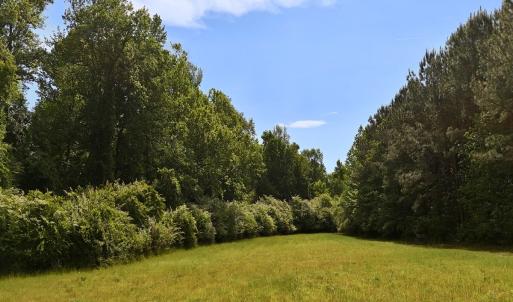 Photo #18 of Off of Old Chinquapin Rd., Beulaville, NC 11.3 acres