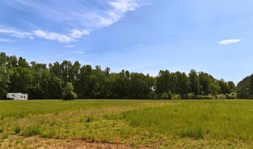 Photo #19 of Off of Old Chinquapin Rd., Beulaville, NC 11.3 acres