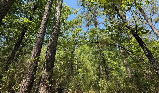 Photo #34 of Lot 27 Sunset Pt, Belhaven, NC 2.0 acres