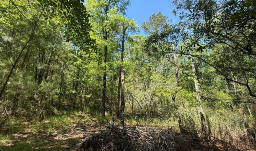 Photo #37 of Lot 27 Sunset Pt, Belhaven, NC 2.0 acres