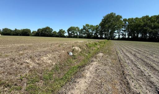 Photo #10 of Off of 1318, Mount Olive, NC 51.0 acres