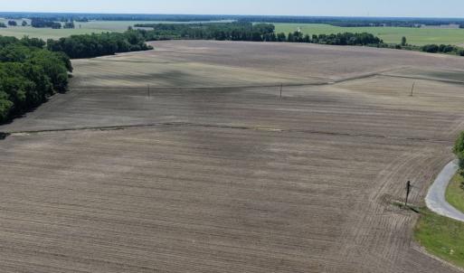 Photo #11 of Off of 1318, Mount Olive, NC 51.0 acres