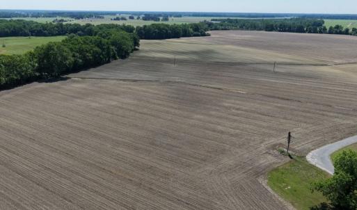 Photo #13 of Off of 1318, Mount Olive, NC 51.0 acres