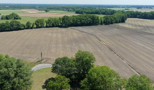 Photo #14 of Off of 1318, Mount Olive, NC 51.0 acres