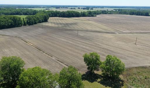 Photo #16 of Off of 1318, Mount Olive, NC 51.0 acres