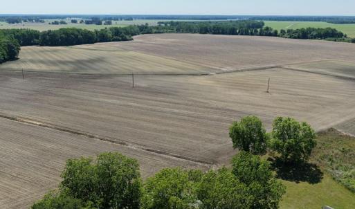 Photo #17 of Off of 1318, Mount Olive, NC 51.0 acres