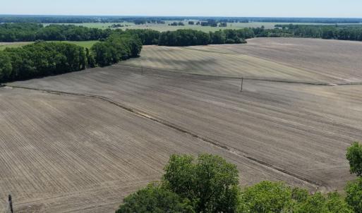Photo #18 of Off of 1318, Mount Olive, NC 51.0 acres