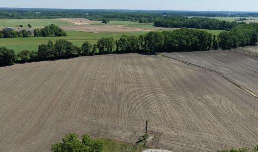 Photo #19 of Off of 1318, Mount Olive, NC 51.0 acres
