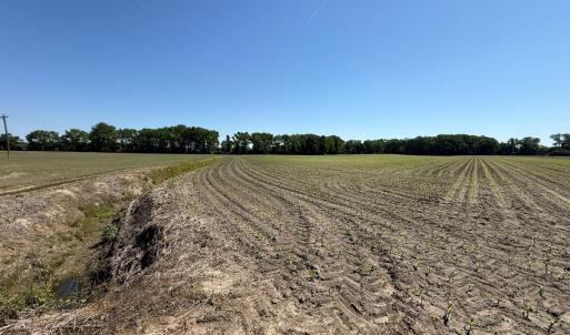 Photo #21 of Off of 1318, Mount Olive, NC 51.0 acres