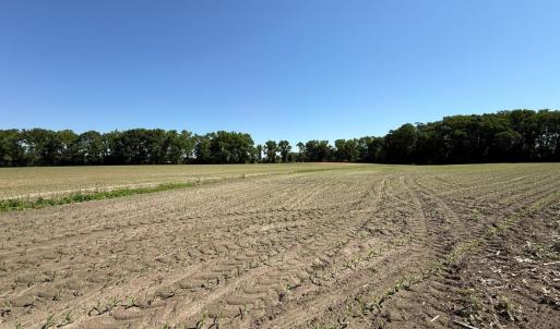 Photo #22 of Off of 1318, Mount Olive, NC 51.0 acres
