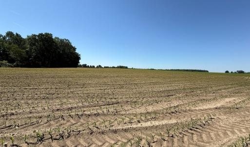 Photo #23 of Off of 1318, Mount Olive, NC 51.0 acres