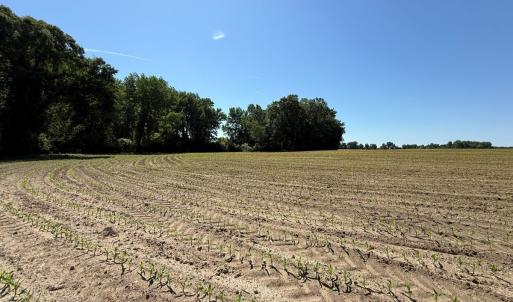 Photo #24 of Off of 1318, Mount Olive, NC 51.0 acres