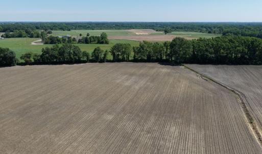 Photo #26 of Off of 1318, Mount Olive, NC 51.0 acres