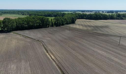 Photo #27 of Off of 1318, Mount Olive, NC 51.0 acres