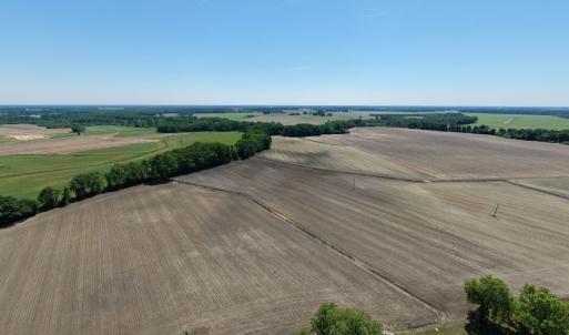 Photo #3 of Off of 1318, Mount Olive, NC 51.0 acres