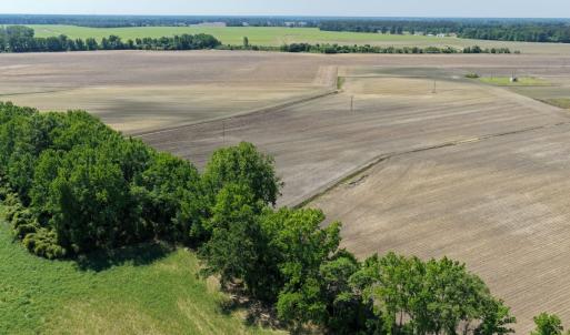 Photo #32 of Off of 1318, Mount Olive, NC 51.0 acres