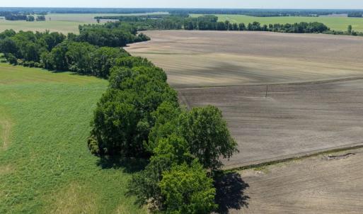 Photo #33 of Off of 1318, Mount Olive, NC 51.0 acres