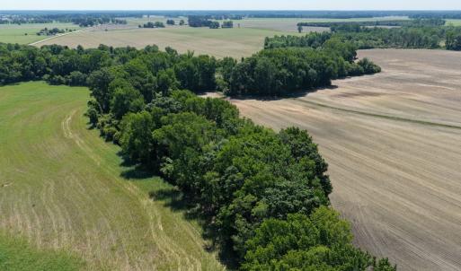 Photo #34 of Off of 1318, Mount Olive, NC 51.0 acres