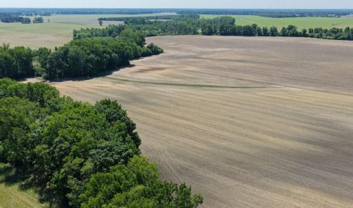 Photo #35 of Off of 1318, Mount Olive, NC 51.0 acres