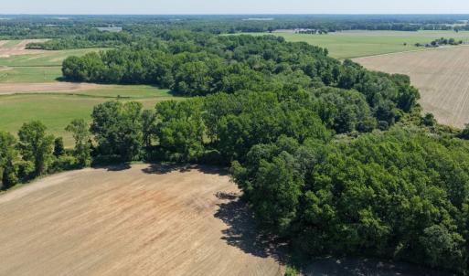 Photo #36 of Off of 1318, Mount Olive, NC 51.0 acres