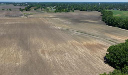 Photo #39 of Off of 1318, Mount Olive, NC 51.0 acres