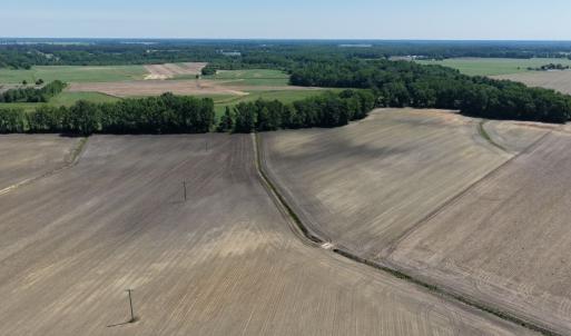Photo #5 of Off of 1318, Mount Olive, NC 51.0 acres