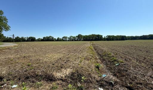 Photo #6 of Off of 1318, Mount Olive, NC 51.0 acres