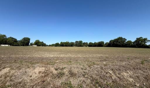 Photo #7 of Off of 1318, Mount Olive, NC 51.0 acres