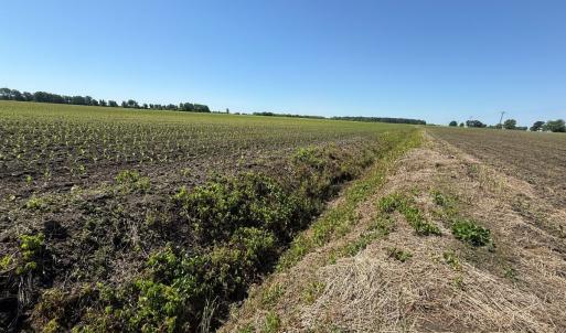 Photo #9 of Off of 1318, Mount Olive, NC 51.0 acres