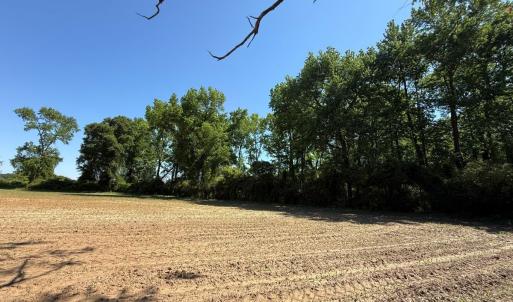 Photo #41 of Off of 1318, Mount Olive, NC 51.0 acres