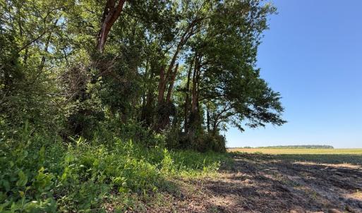 Photo #42 of Off of 1318, Mount Olive, NC 51.0 acres